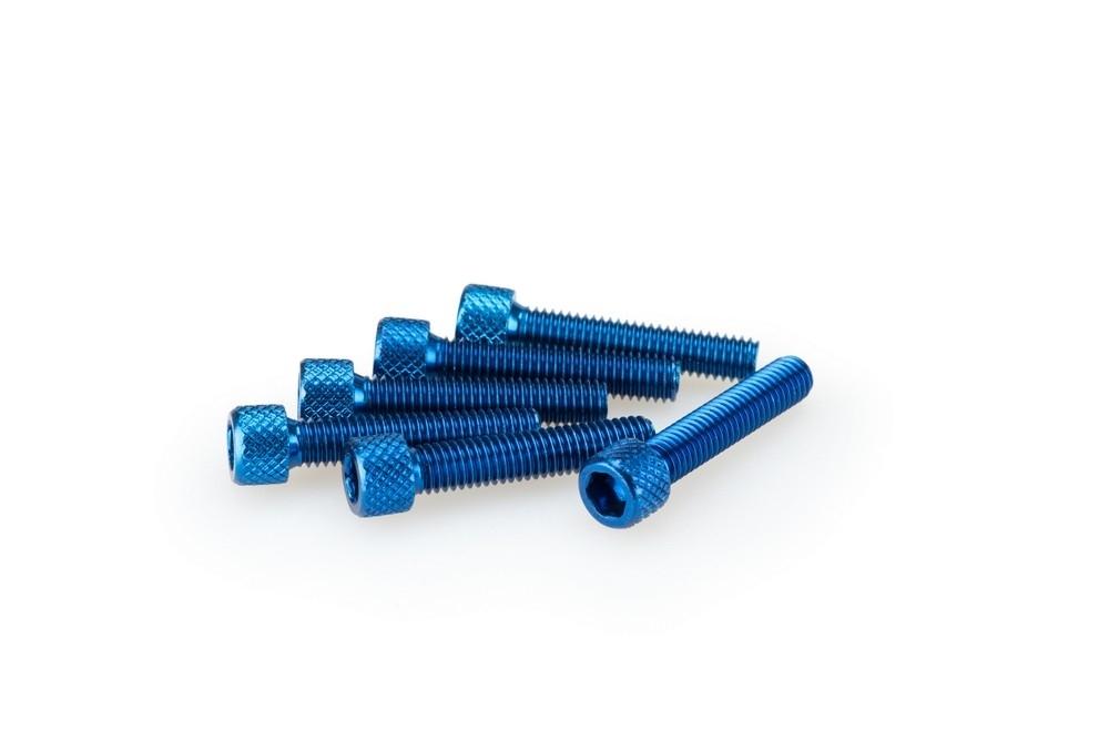 Blister 6 Tornillos allen M6X30MM. c/azul