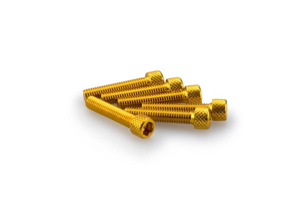 Blister 6 Tornillos allen M6X30MM. c/oro