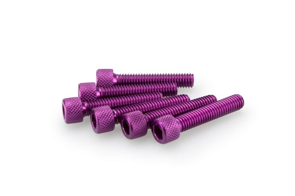 Blister 6 Tornillos allen M6X30MM. c/lila