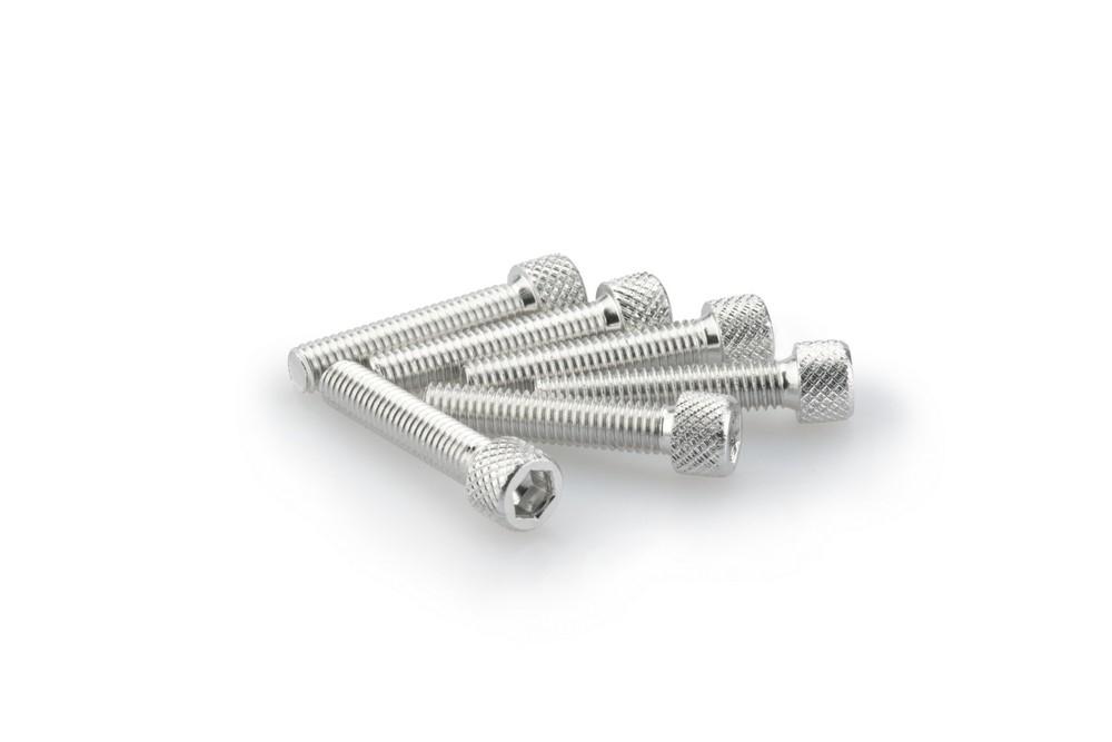 Blister 6 Tornillos allen M6X30MM. c/plata