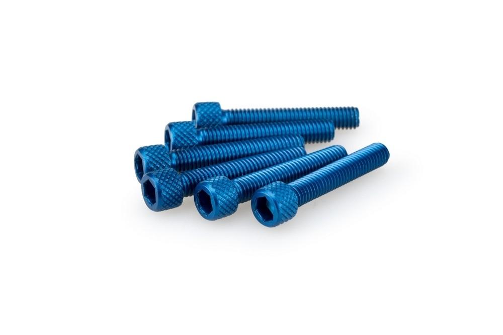 Blister 6 Tornillos allen M6X35MM. c/azul