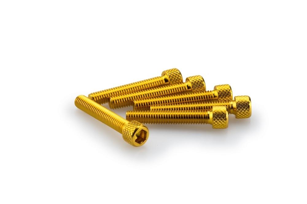 Blister 6 Tornillos allen M6X35MM. c/oro