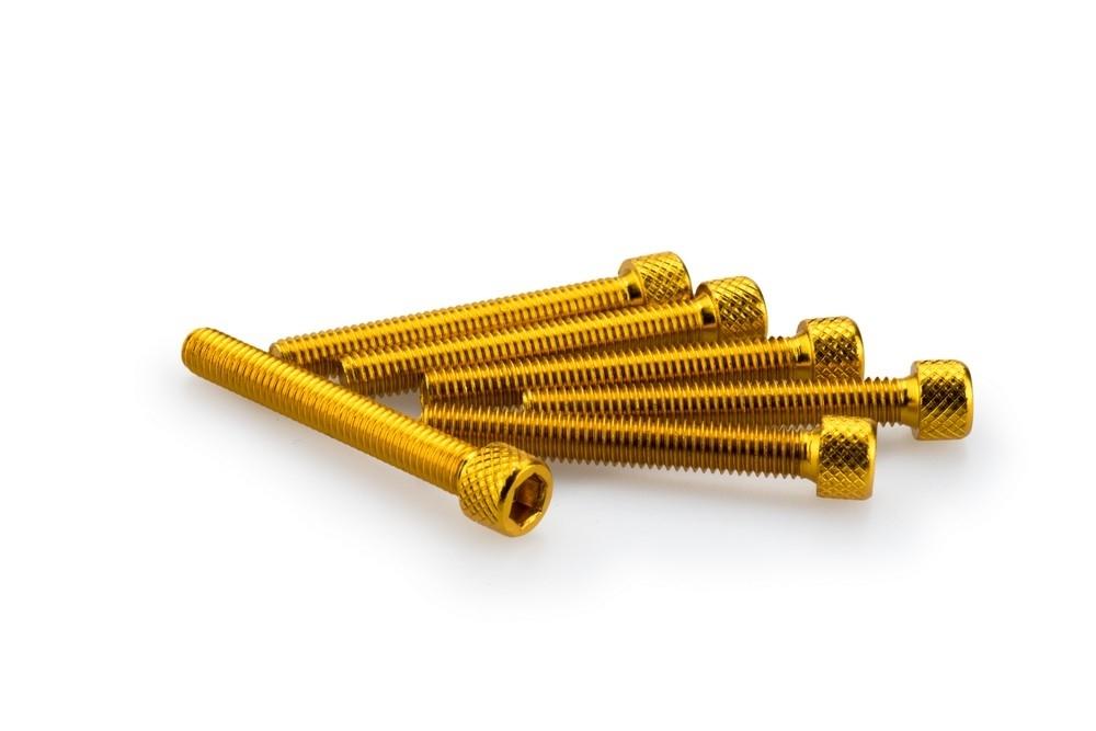 Blister 6 Tornillos allen M6X45MM. c/oro
