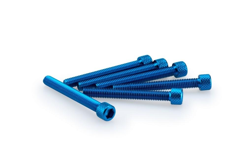 Blister 6 Tornillos allen M6X50MM. c/azul