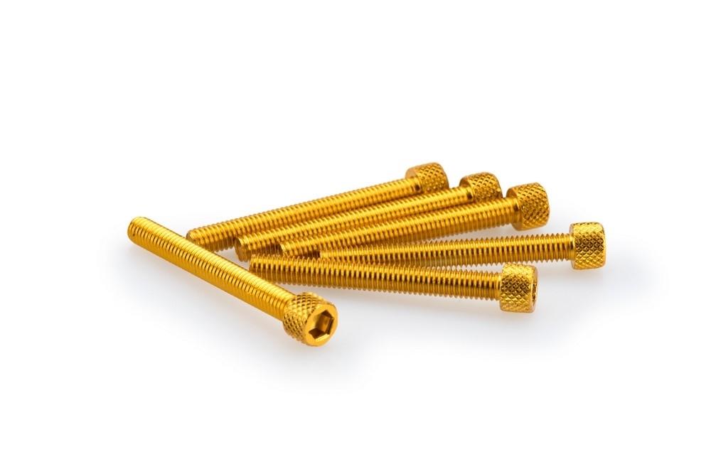 Blister 6 Tornillos allen M6X50MM. c/oro