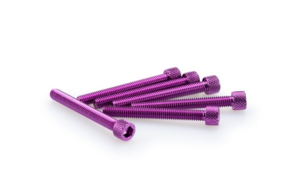 Blister 6 Tornillos allen M6X50MM. c/lila
