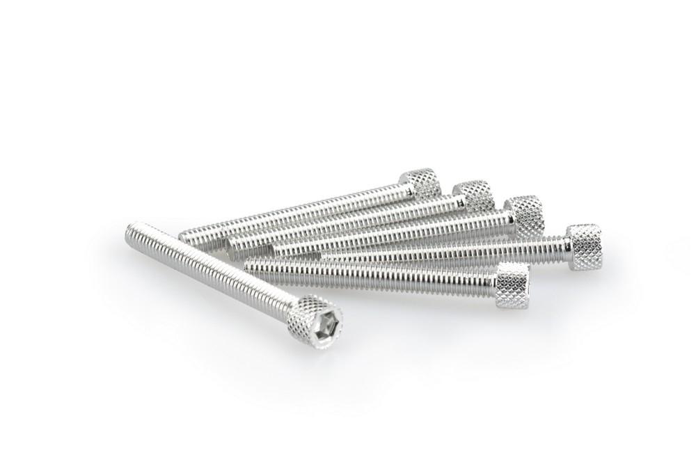 Blister 6 Tornillos allen M6X50MM. c/plata