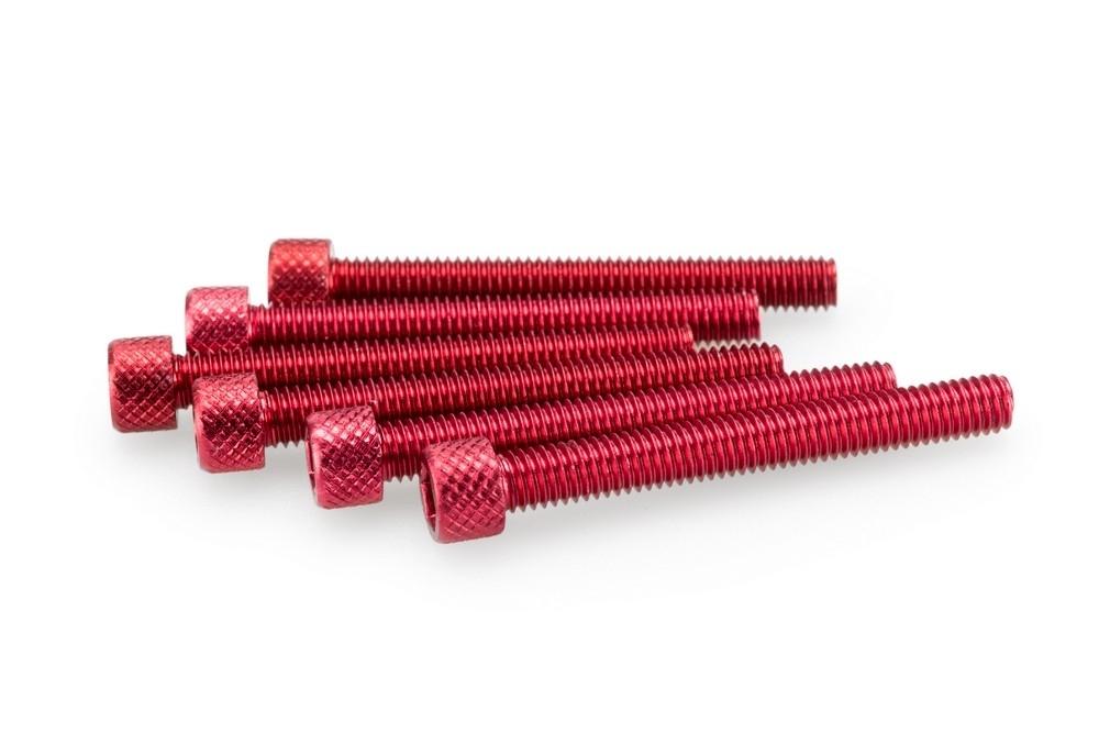 Blister 6 Tornillos allen M6X50MM. c/rojo