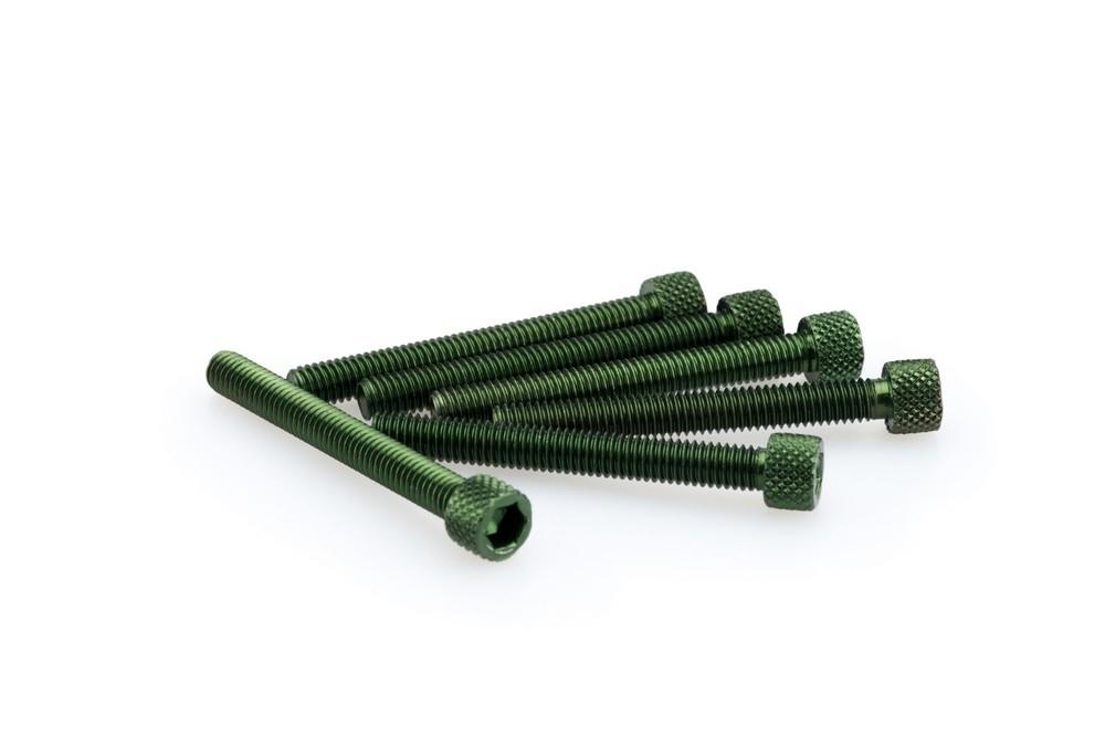 Blister 6 Tornillos allen M6X50MM. c/verde