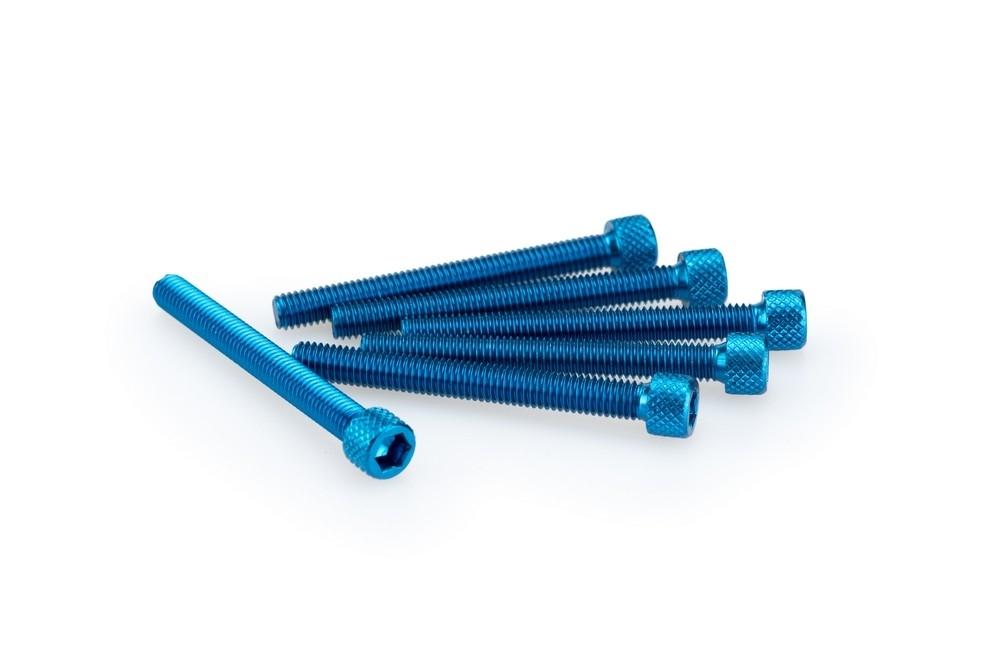 Blister 6 Tornillos allen M6X55MM. c/azul