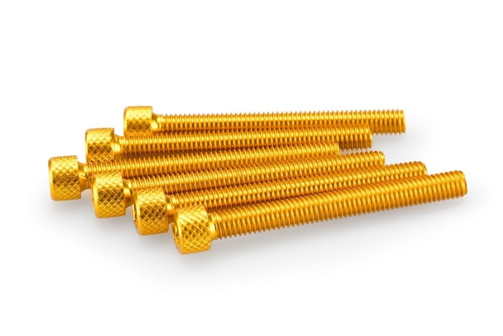 Blister 6 Tornillos allen M6X55MM. c/oro