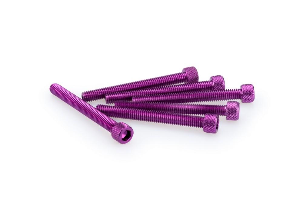 Blister 6 Tornillos allen M6X55MM. c/lila
