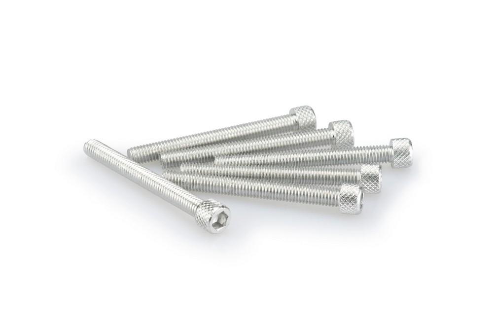 Blister 6 Tornillos allen M6X55MM. c/plata