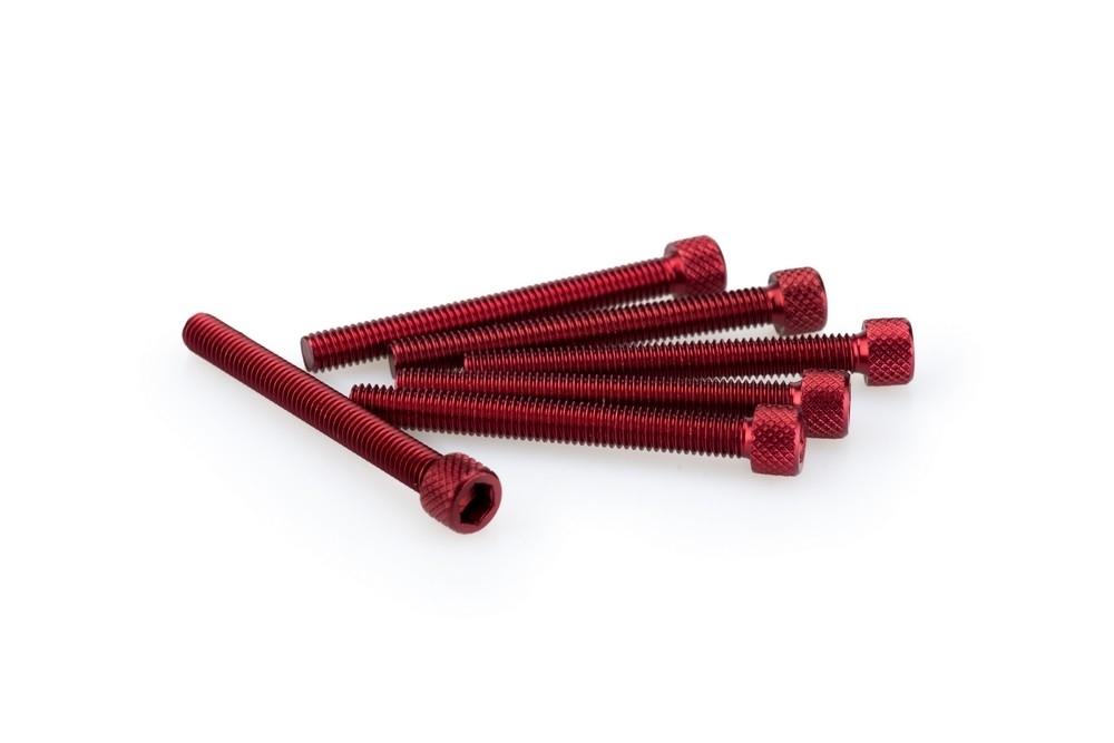 Blister 6 Tornillos allen M6X55MM. c/rojo
