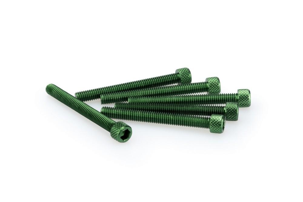 Blister 6 Tornillos allen M6X55MM. c/verde
