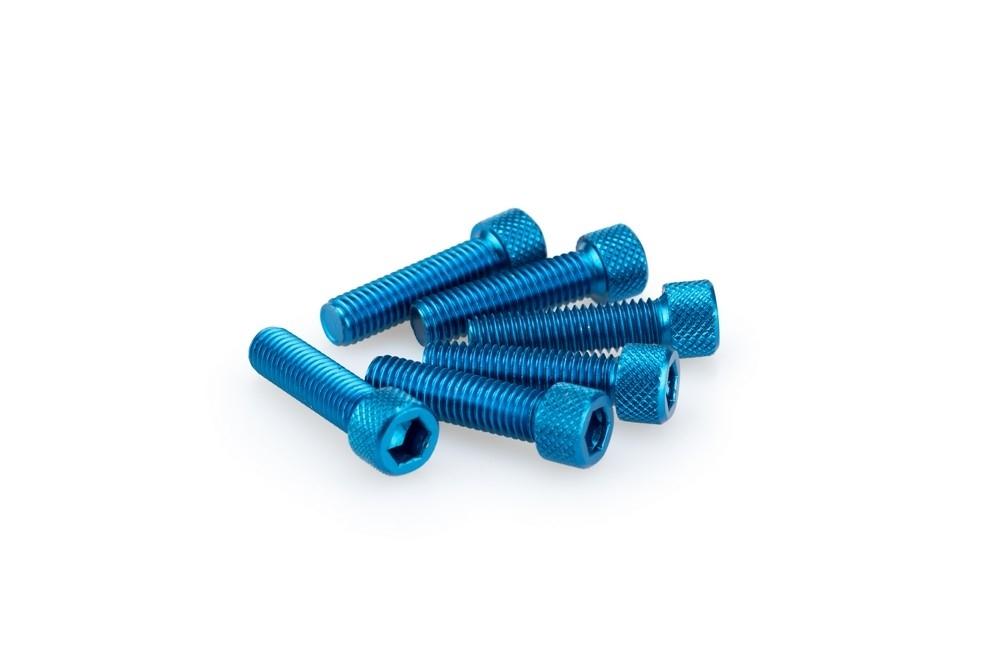 Blister 6 Tornillos allen M8X30MM. C/azul