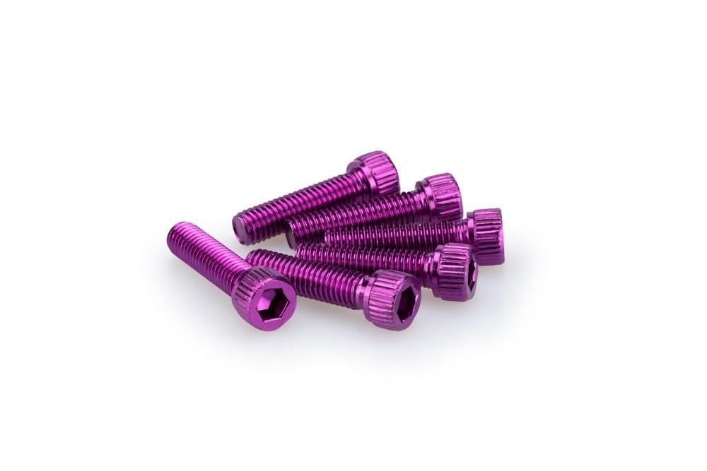 Blister 6 Tornillos allen M8X30MM. C/LILA