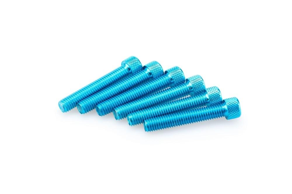 Blister 6 Tornillos allen M8X55MM. C/azul
