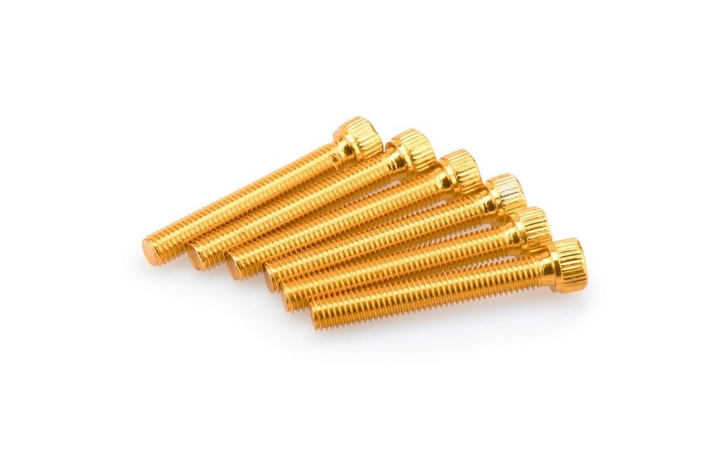 Blister 6 Tornillos allen M8X55MM. C/ORO