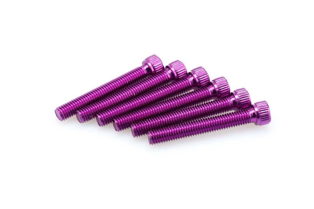 Blister 6 Tornillos allen M8X55MM. C/LILA