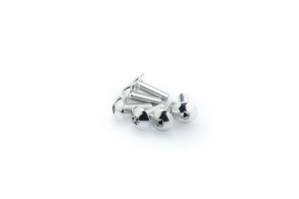 Blister 6 Tornillos Abombado M5X15MM. C/plata