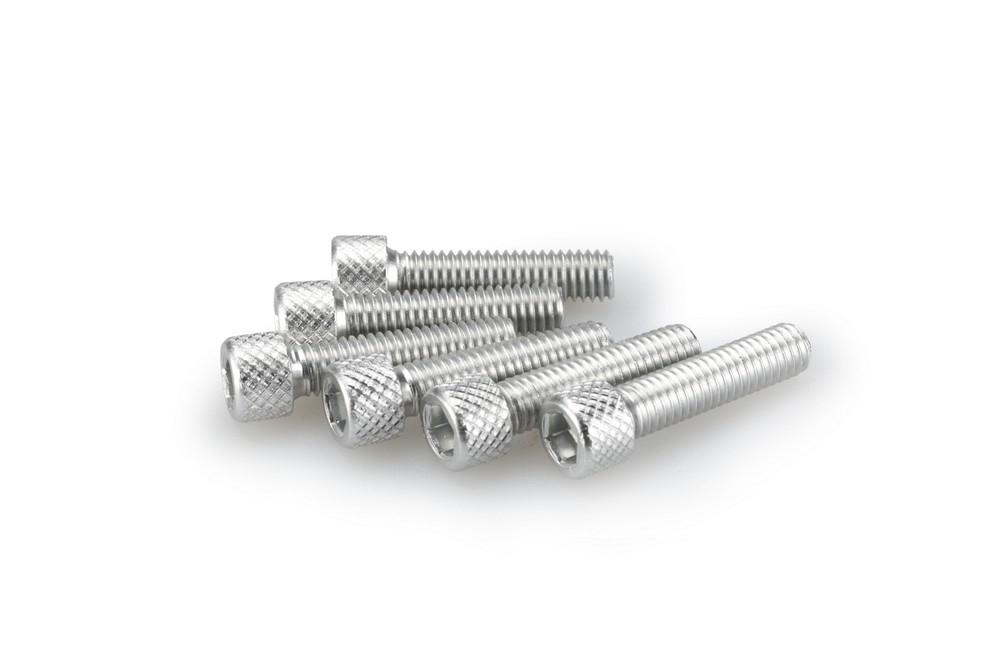 Blister 6 Tornillos allen M6X25MM. C/plata