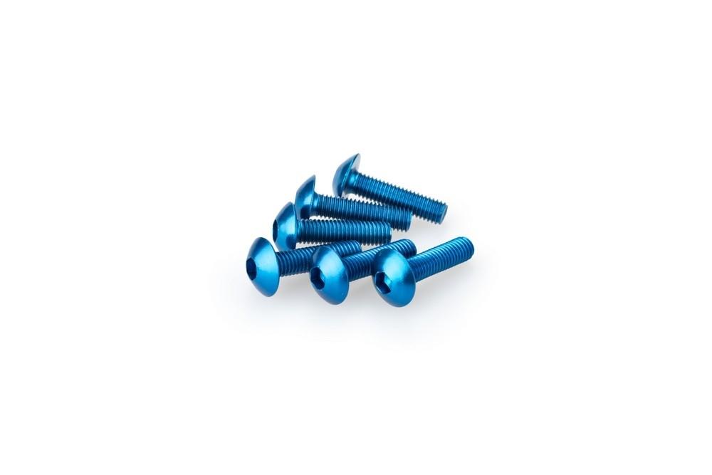 Blister 6 Tornillos Abombado M5X20MM. C/azul