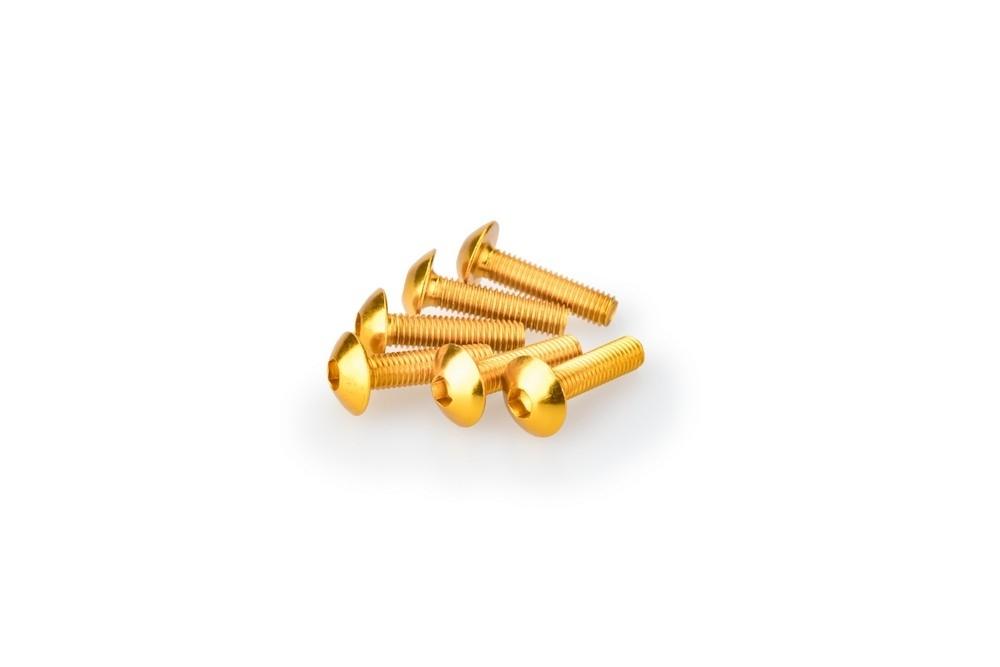 Blister 6 Tornillos Abombado M5X20MM. C/ORO