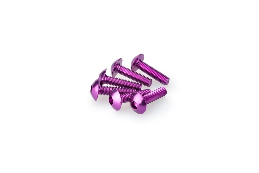 Blister 6 Tornillos Abombado M5X20MM. C/LILA