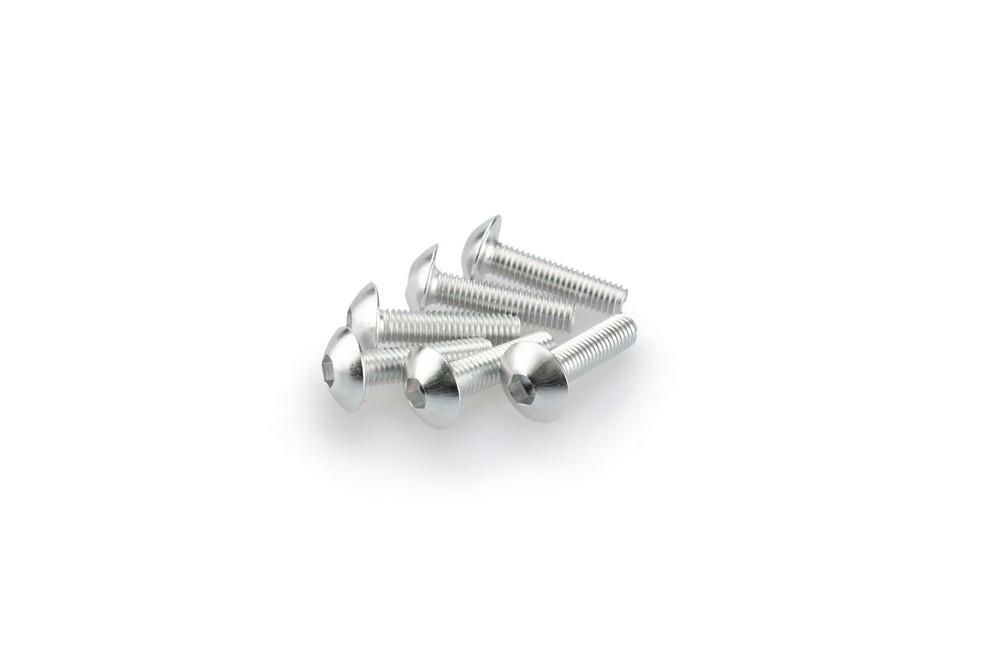 Blister 6 Tornillos Abombado M5X20MM. C/plata