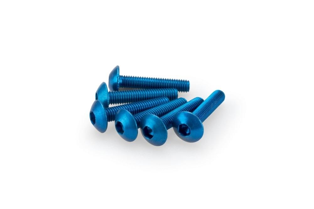 Blister 6 Tornillos Abombado M5X25MM. C/azul