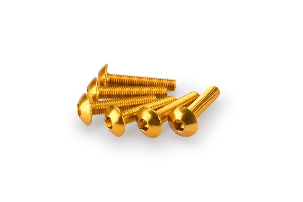 Blister 6 Tornillos Abombado M5X25MM. C/ORO