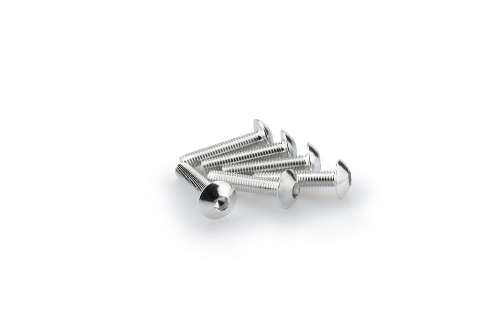 Blister 6 Tornillos Abombado M5X25MM. C/plata