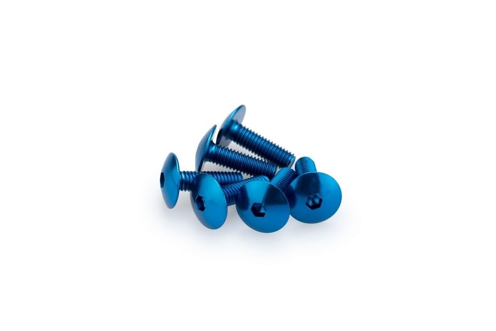 Blister 6 Tornillos Abombado M6X20MM. C/azul
