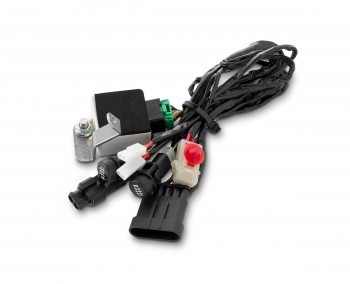 Modulo gestion accesorios calefactados Piaggio