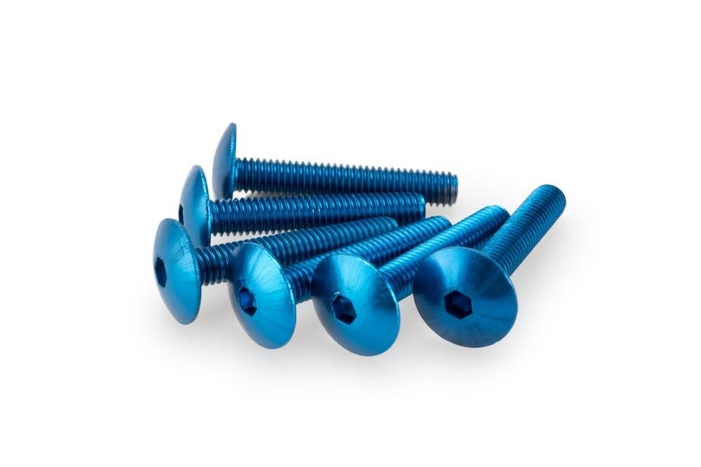 Blister 6 Tornillos Abombado M6X30MM. c/azul