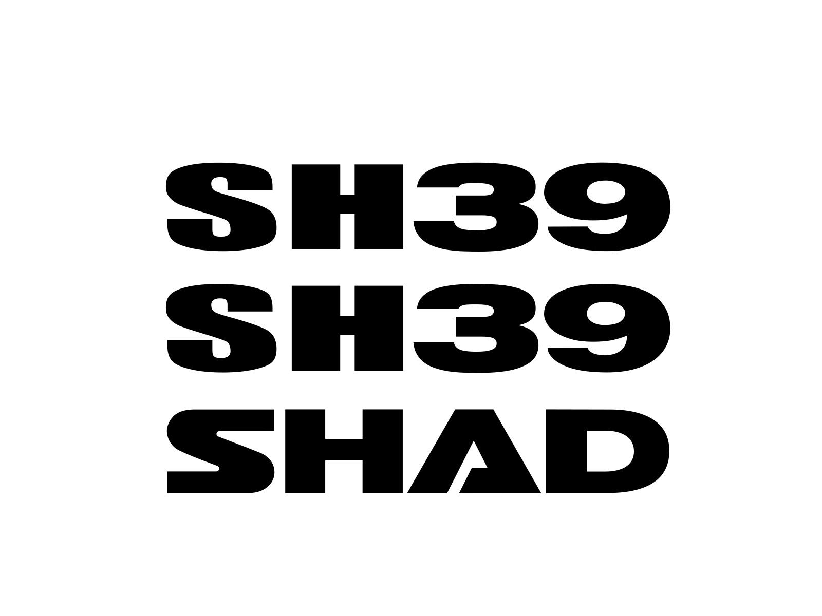 Adhesivo baul Shad SH39 2013